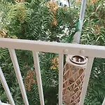 Apartmán Myrto House *